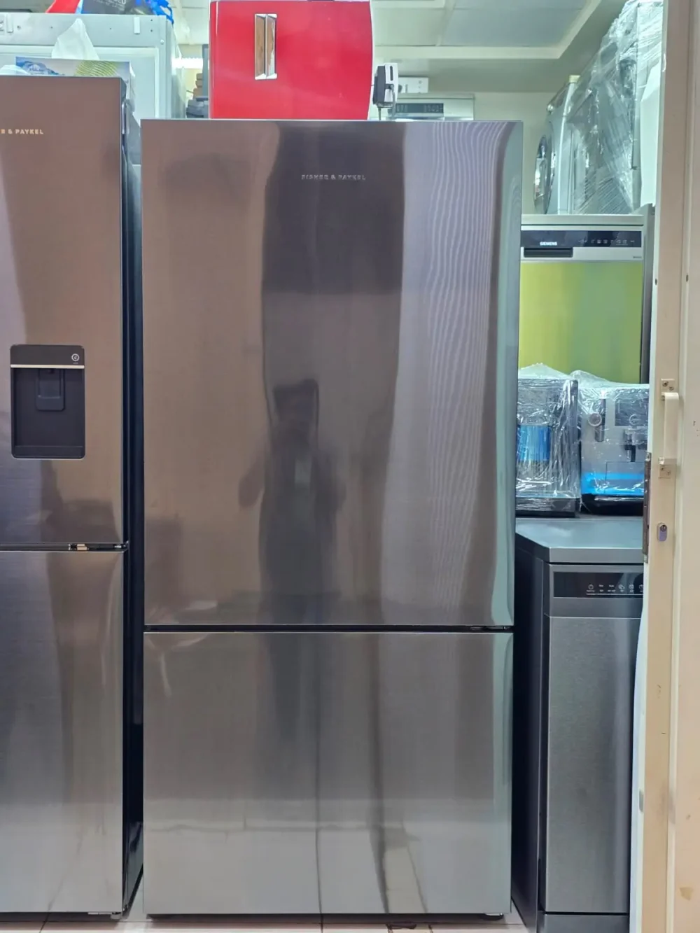 Fisher & Paykel Bottom Freezer Refrigerator RF522BRPB6